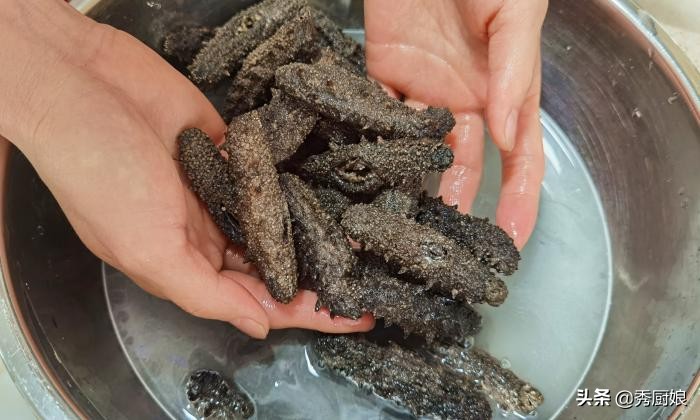 海参泡发的正确做法视频,海参泡发的正确步骤和做法视频