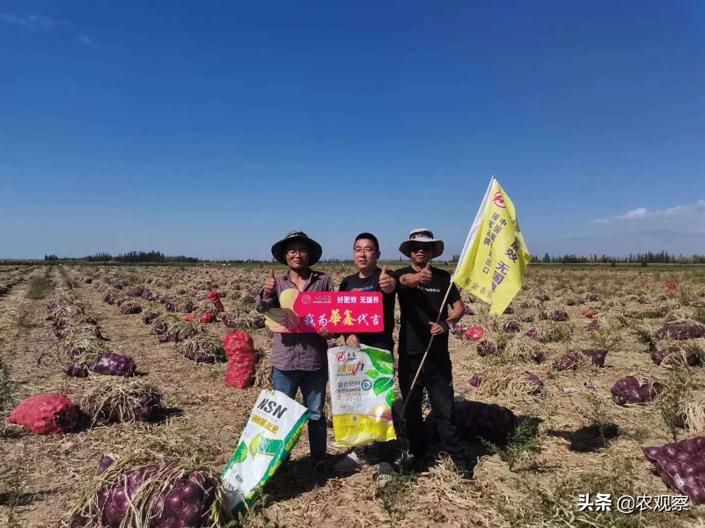 “不光品质好，产量也很高”，华鑫肥就这么牛