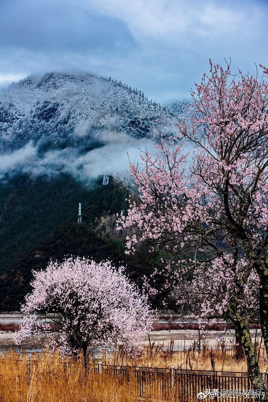 8月最佳旅行地推荐自驾游,4-5月份最佳的自驾短途旅行