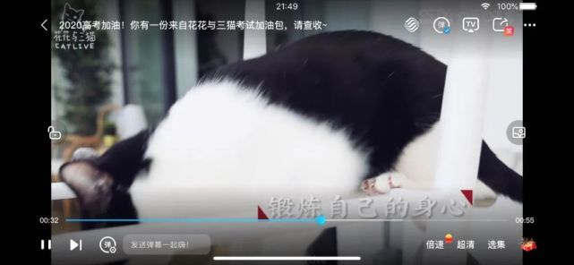 运营商也“跟风”，详测咪咕视频/沃视频的创作中心