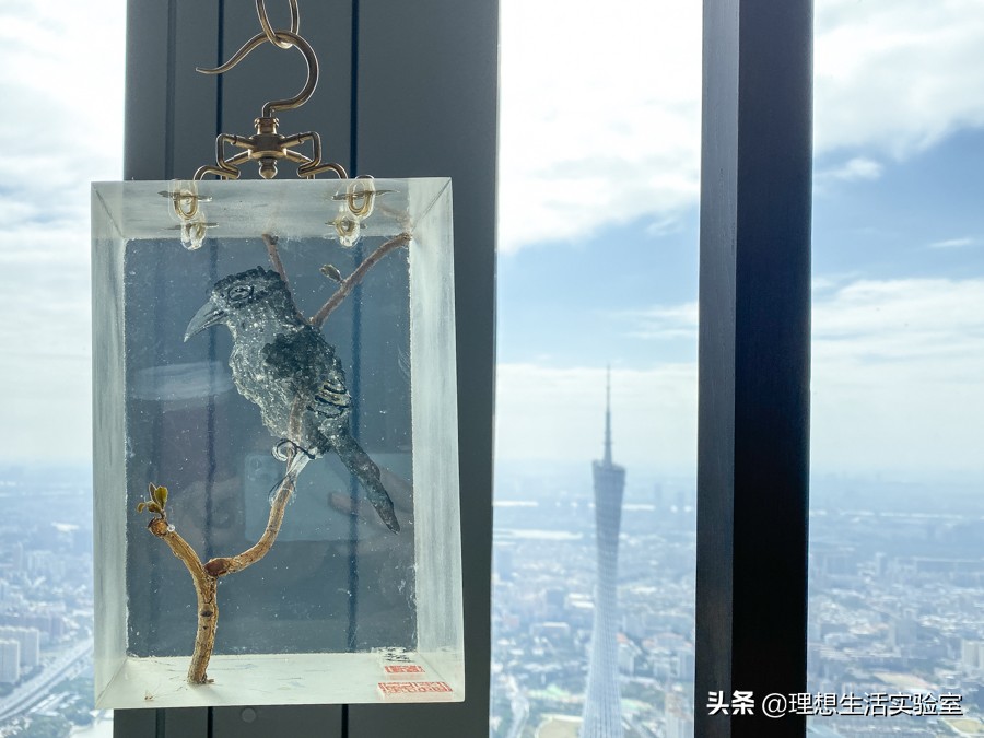 住在广州瑰丽酒店看外面风景,广州瑰丽酒店看到整个广州夜景