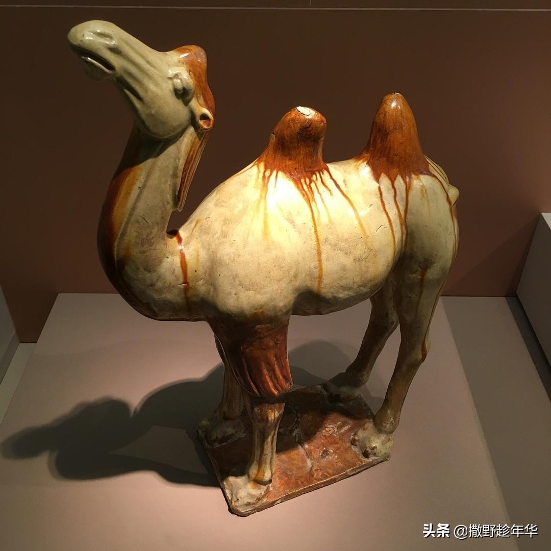 山宗·水源·路之冲|一带一路中的青海