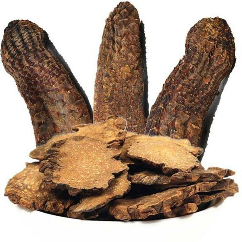 中药古今研究肉苁蓉,肉苁蓉古今研究