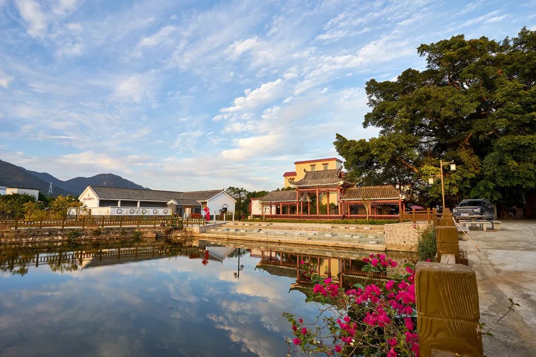 四会为什么发展这么好,四会市现状