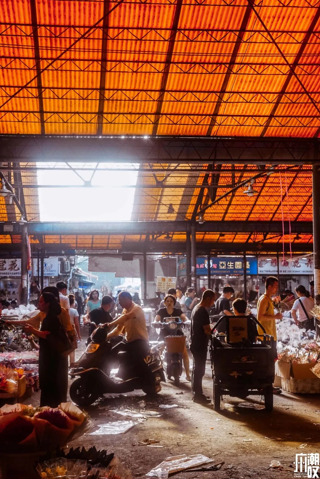 广州最大的花卉市场有哪些店,广州最便宜的花卉交易市场