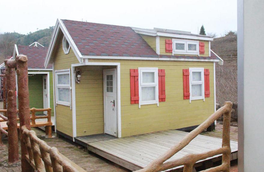 广东看樱花旅游景点推荐,广东樱花打卡景点