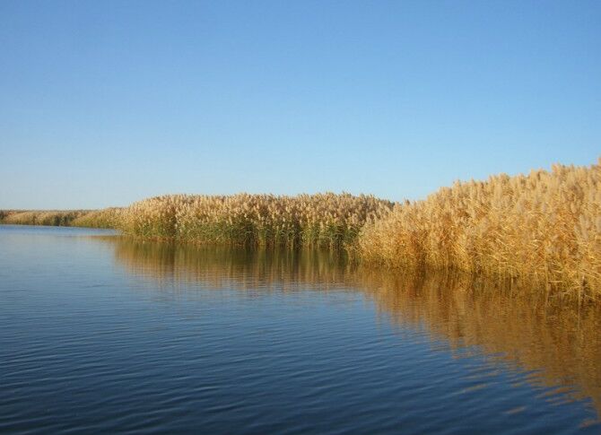 成都到额济纳旗五日游,南京到额济纳旗旅游攻略