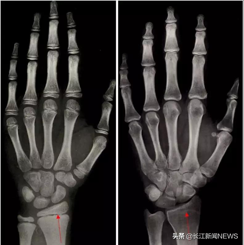 葛大爷讲健康养生,葛大爷玄学