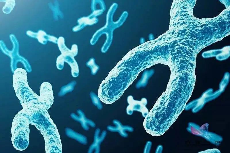 科学界牛人视频,在科学界有哪些名人