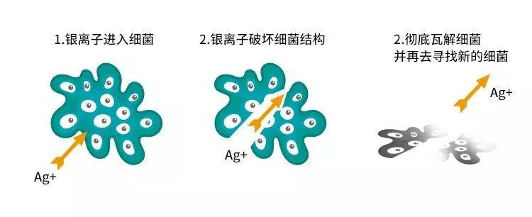 源自德国鲁道夫抗菌技术（MED），哪怕0.1㎜的差距都要死磕到底？