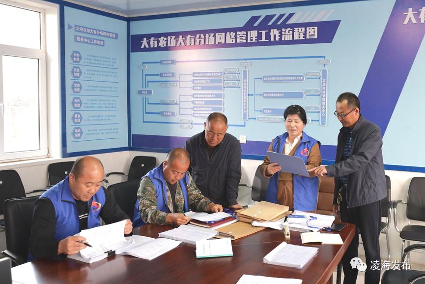 凌海市大有农场,锦州市凌海市大有农场