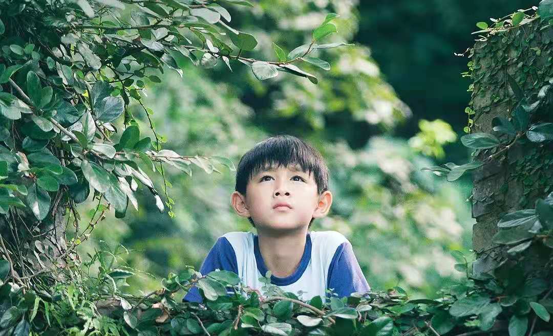 《西小河的夏天》歌曲剪辑版,西小河的夏天免费完整版