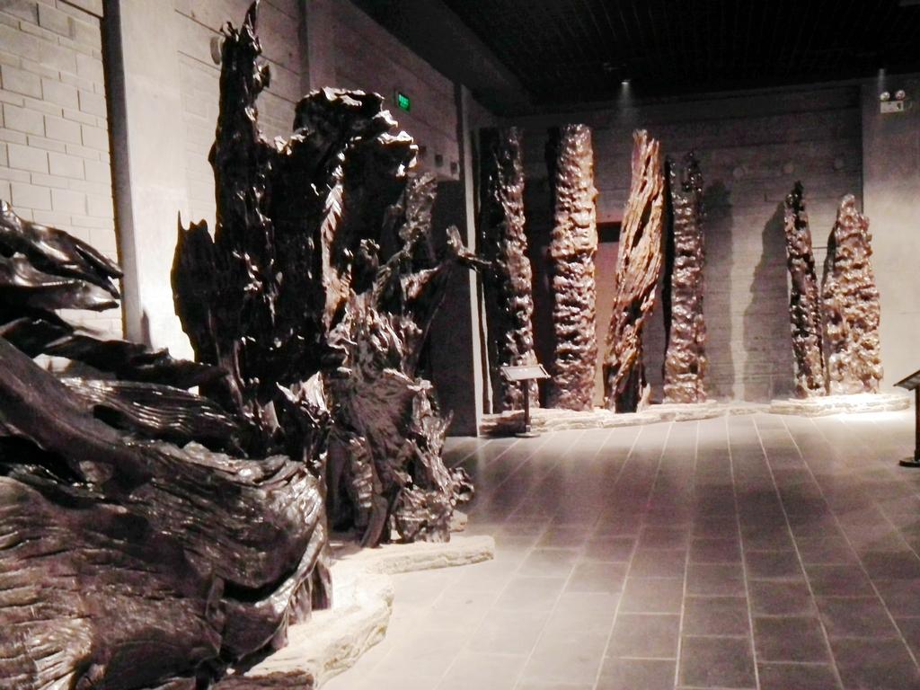 地下挖出千年阴沉木,四川挖出阴沉木