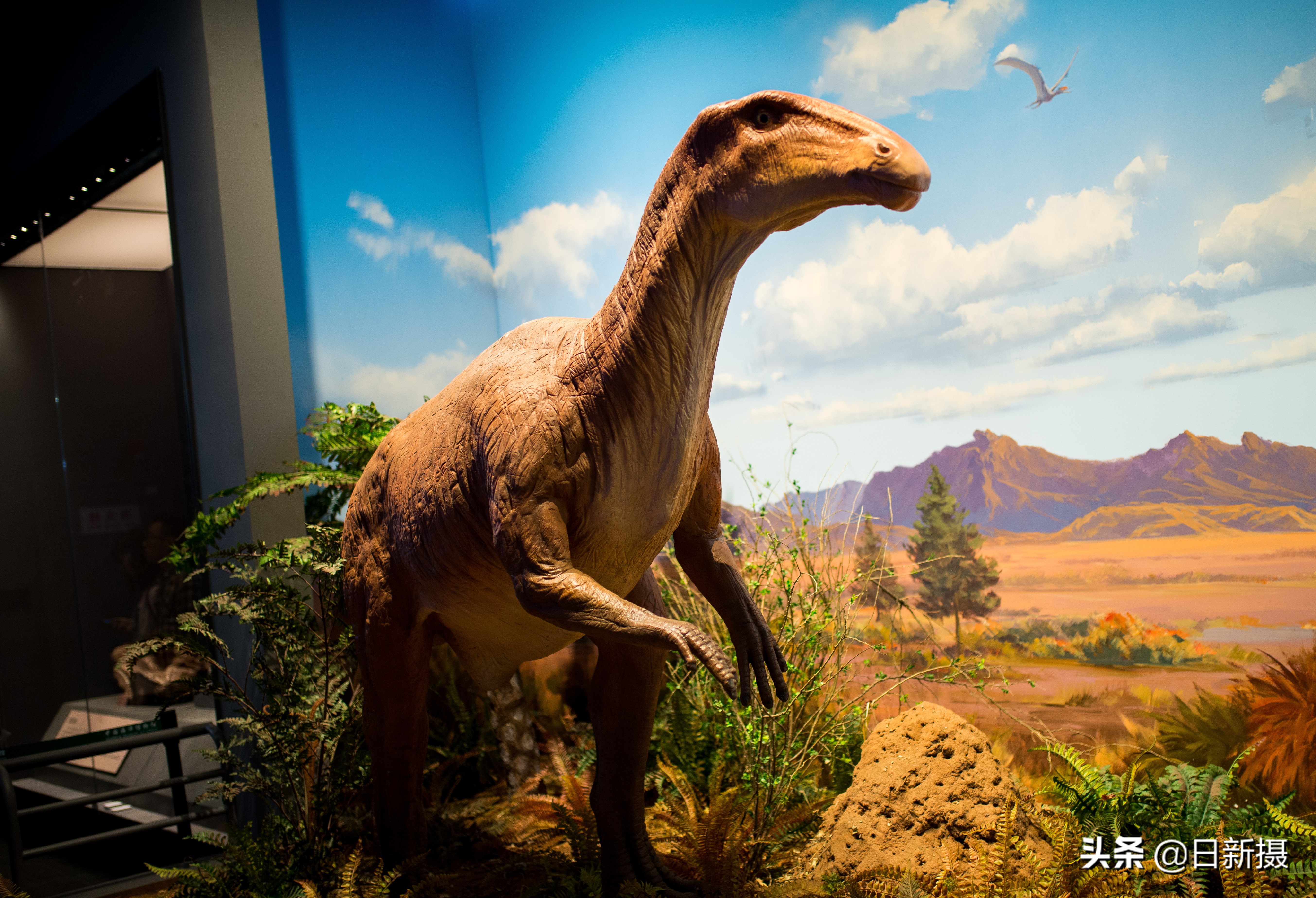 国家海洋博物馆之行,国家海洋博物馆蓝色海洋体验馆