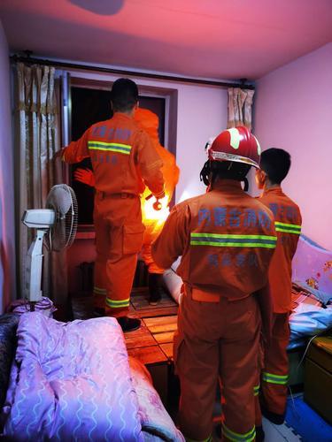 马蜂蜇人消防一锅端,马蜂消防员怎么驱赶