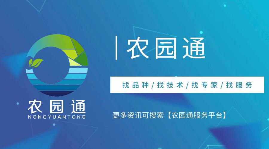 高淳发展规划2021-2025,高淳未来十年发展规划