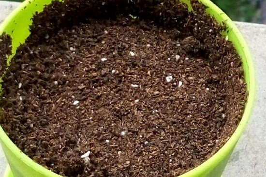 如何灭土里的金龟子幼虫,如何灭土壤里的草籽