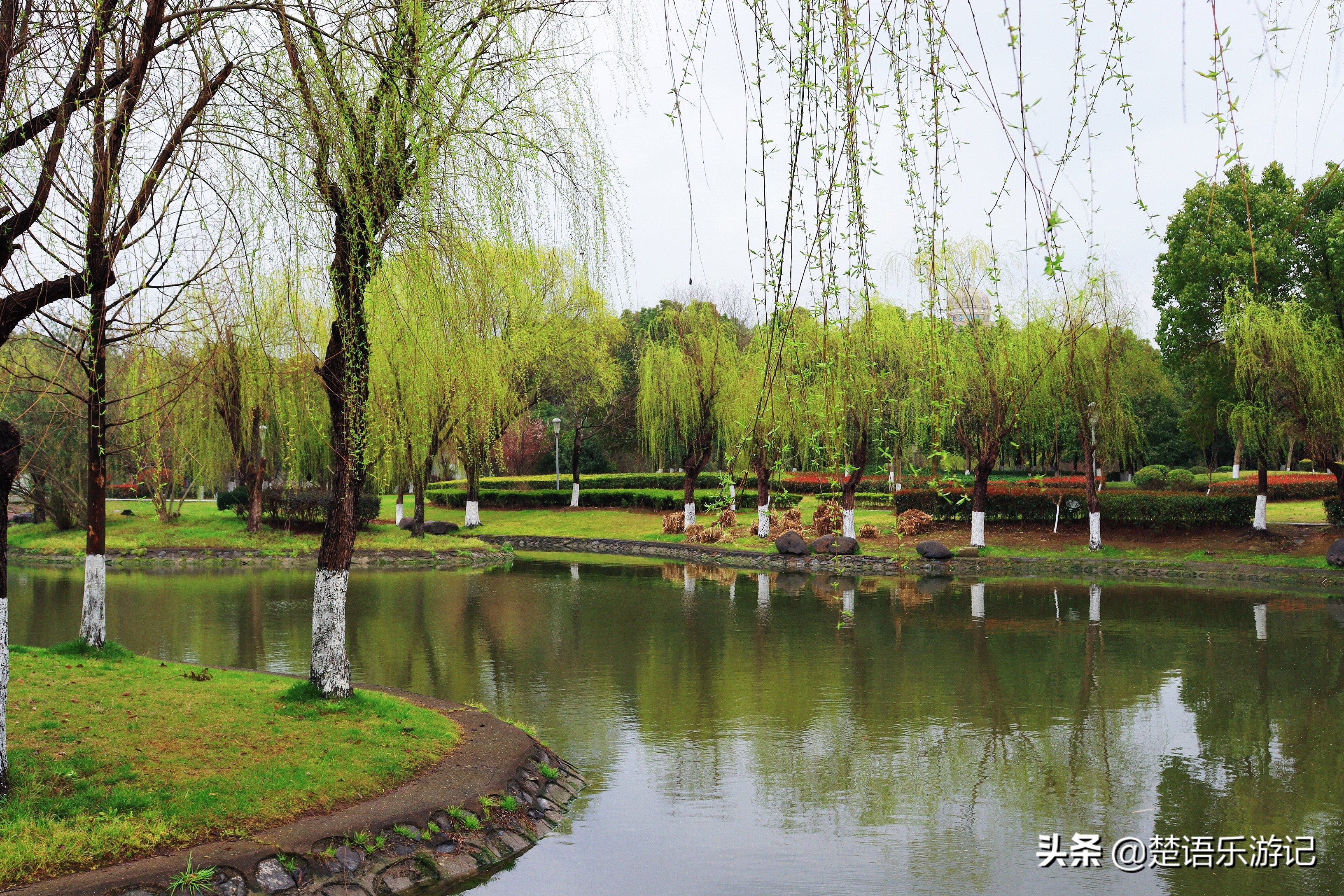 宁波免费的公园有哪些,宁波值得去的公园排行榜