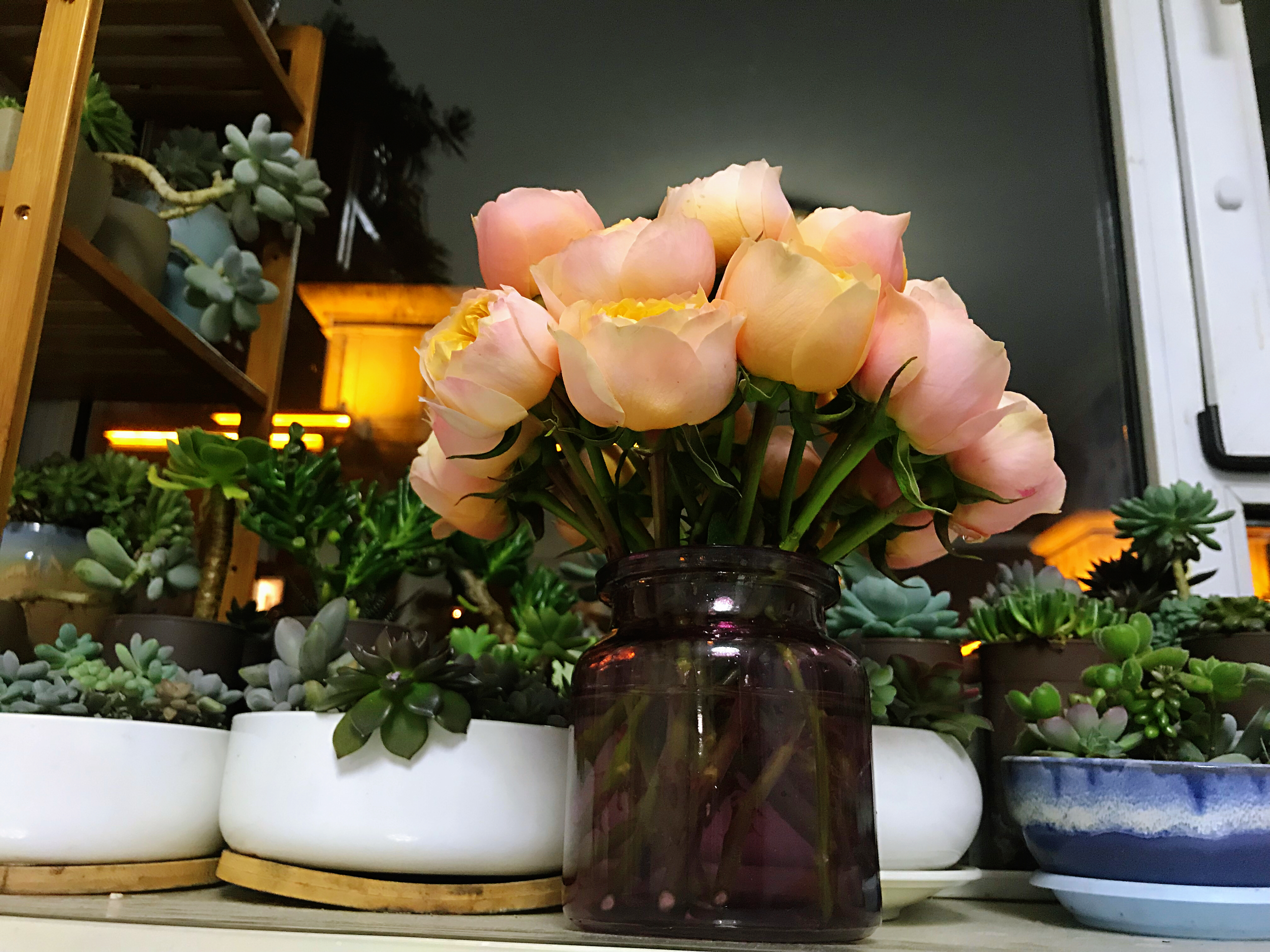 一份营养合理的一日食谱,学生营养餐一日食谱视频