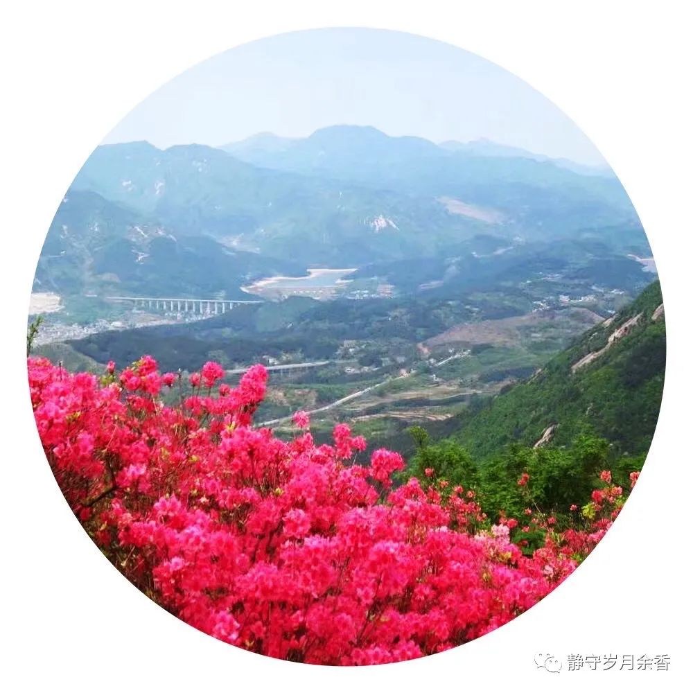 情满龟峰·诗涌花海