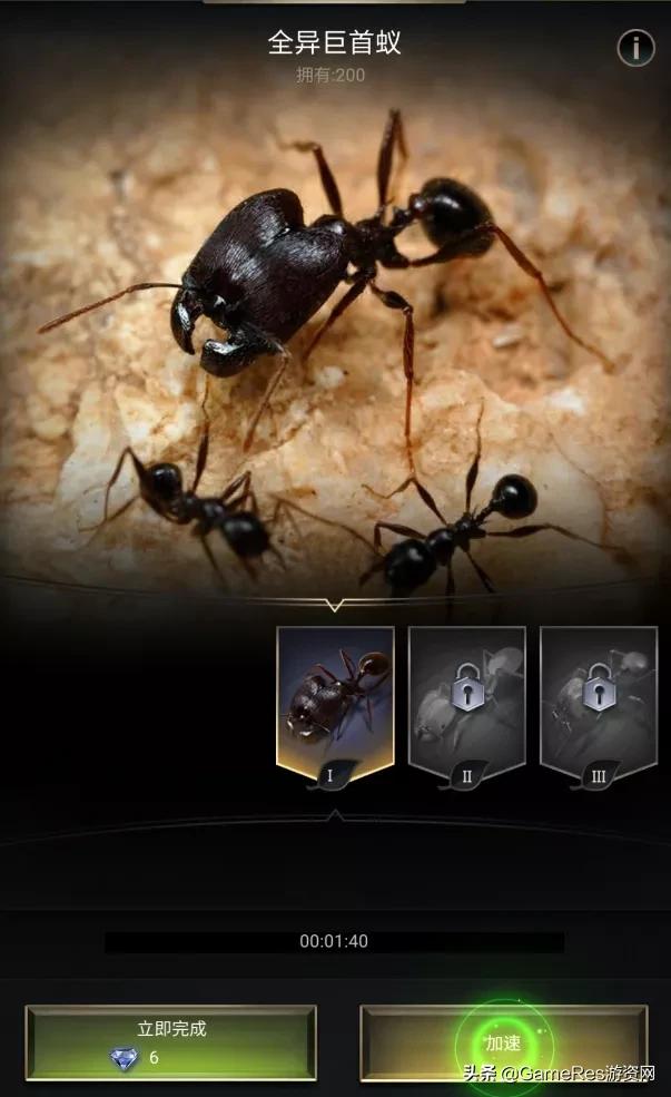 《小小蚁国》跻身8月出海收入榜，题材创新“卷”向动物领域？