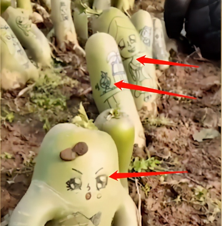 8岁女孩涂鸦画,三个孩子在豪车上涂鸦