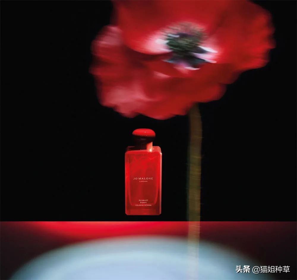 全球富婆抢破头,今年春天出的都是些什么神仙香水?