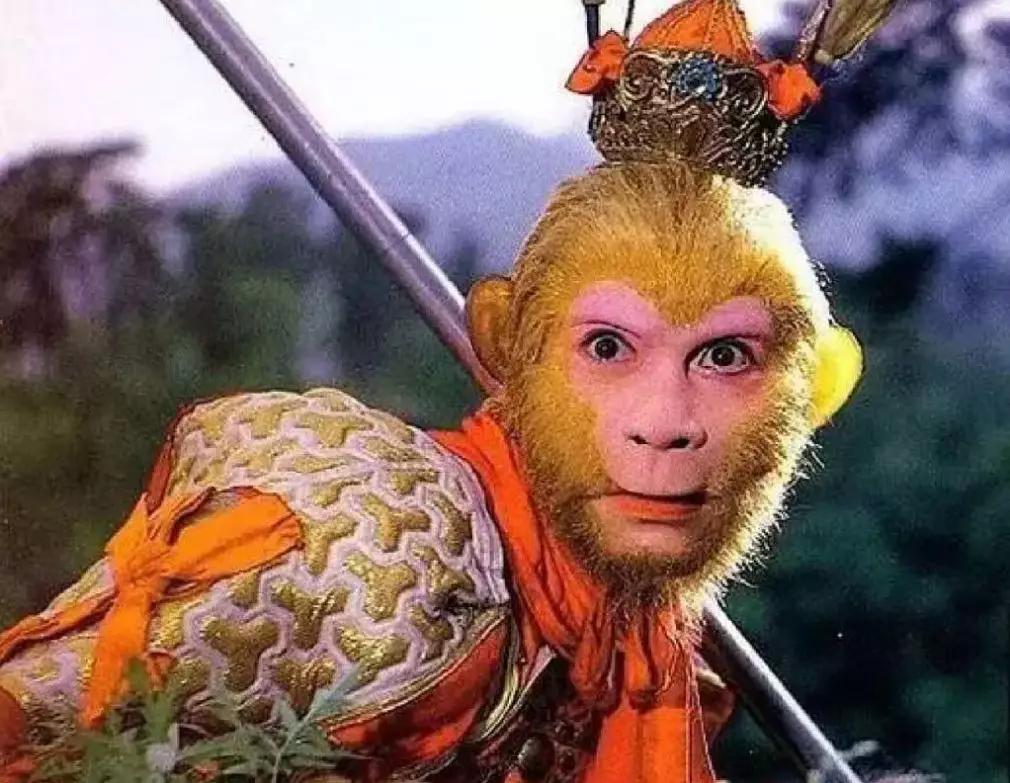 网友重刷最多遍的剧top10,网民重复刷的10部国产剧