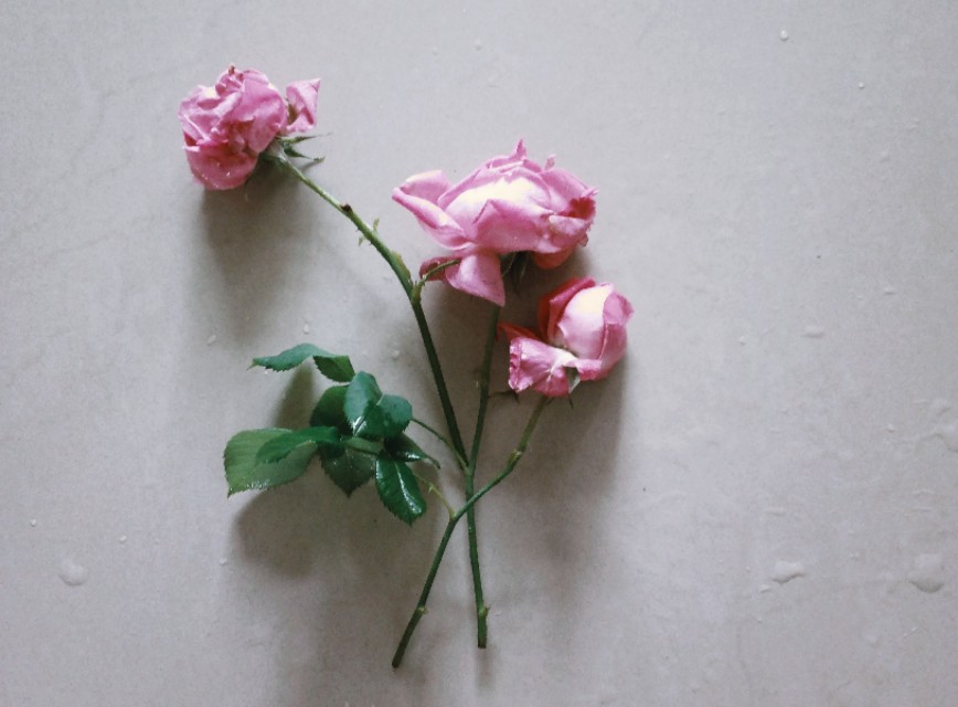 有关感恩感动的中考满分作文,成长感悟类高考满分作文