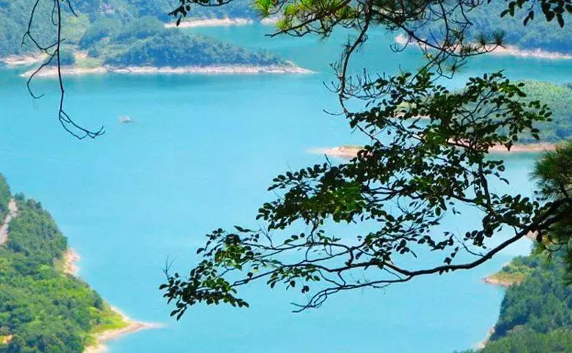 宁波周边踏青免费一日游,宁波踏青游玩的景点