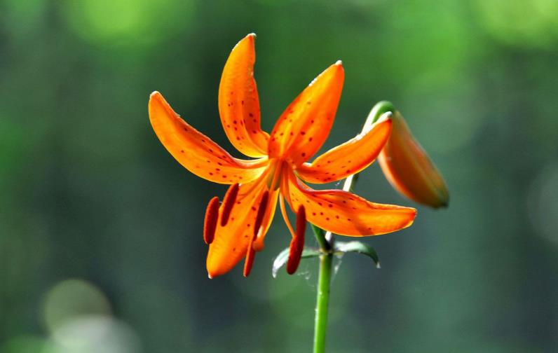 是什么突然让你变成熟了,总有那么一件事会让你彻底变成熟