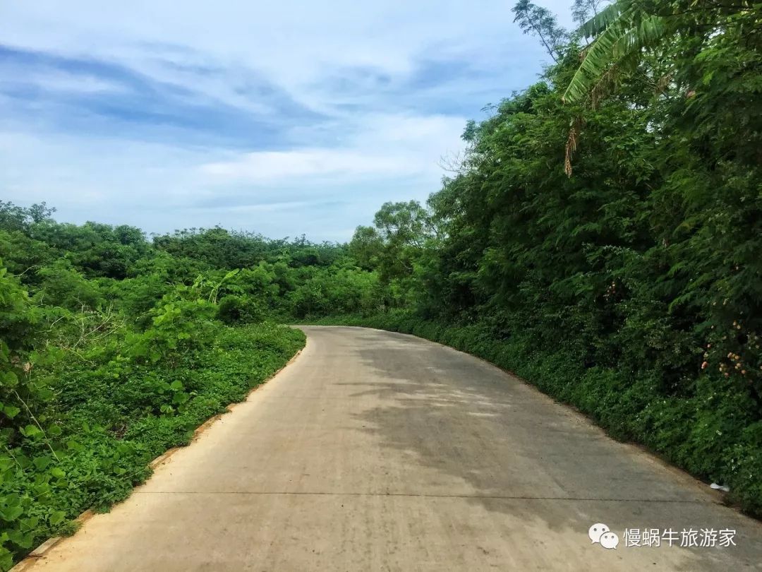 这个南国海岛高铁直达，海鲜超级便宜大人不累、孩子很开心