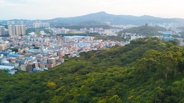 东莞三正半山酒店玩转星球,东莞三正半山酒店冬天