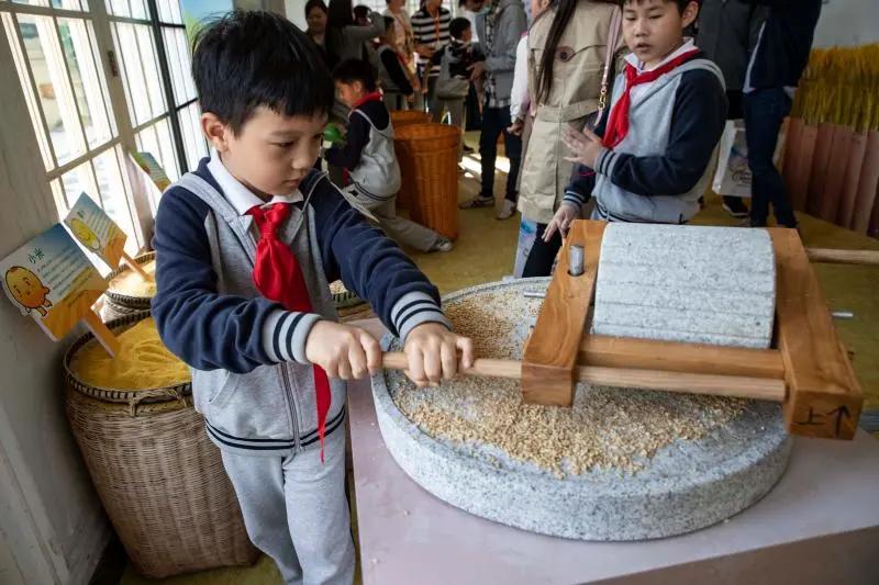 小学生学习创意金点子,小学生的金点子有哪些