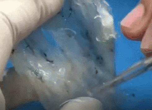 天津这家正宗马来血统的变美利器，吃上一口，值了！