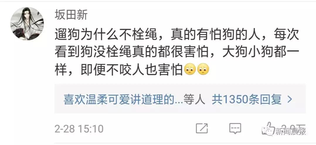 赔了20万！狗狗只是起身走了两步，老人摔成9级伤残！网友炸锅…