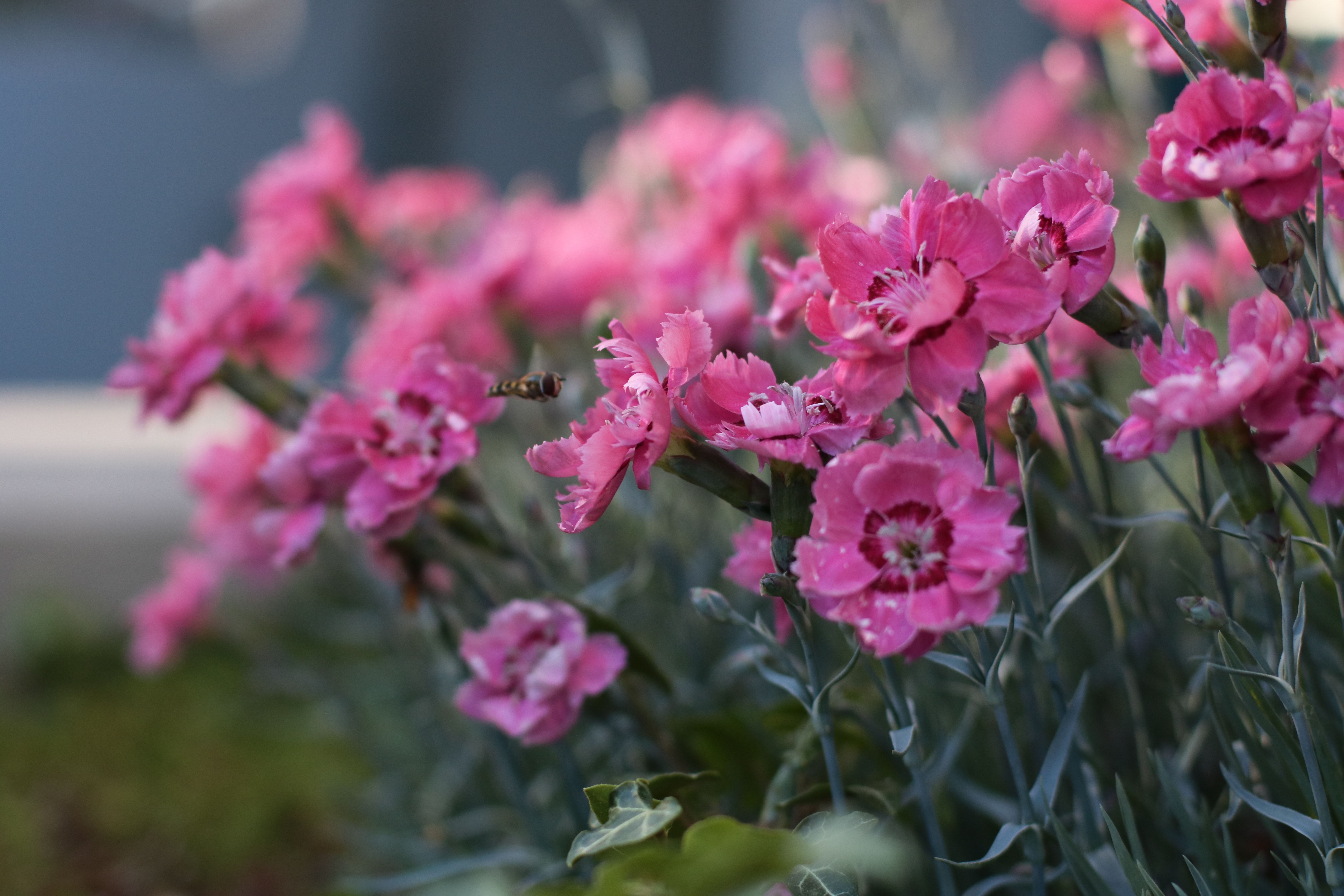 分手后诅咒前任的是什么心理,心理原因分析