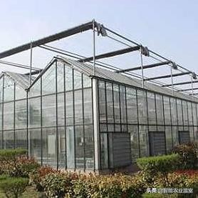 温室大棚雨雪,温室大棚下雪用什么方法清雪