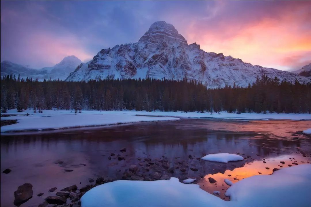 喝西洋参茶有什么好处,每天泡西洋参茶喝有哪些好处