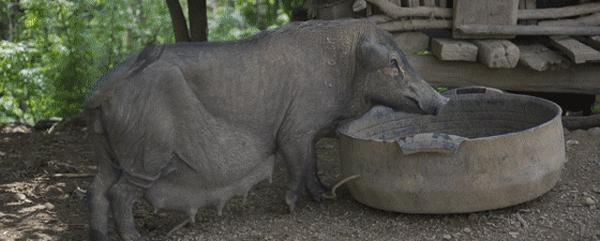 有特色的古滇美食,美食入滇记相关资讯