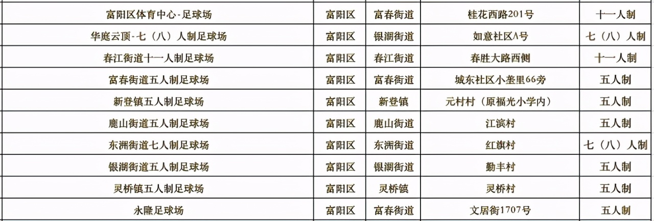 杭州亚运足球场地,杭州有没有标准的足球场