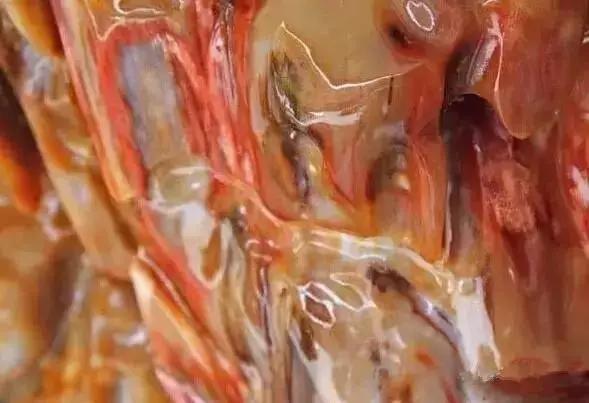 中国各省代表性奇石,中国各省的珍稀宝石