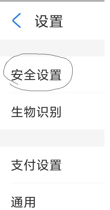 支付宝支付密码忘了怎么办,支付宝支付密码忘了怎么办小米