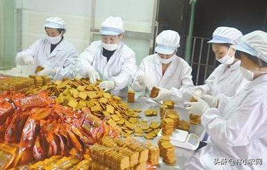 农村最赚钱的创业项目是,2022年农村创业致富的好项目