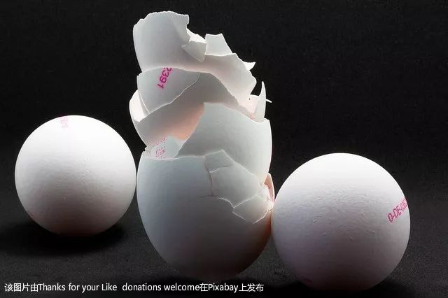 鸡蛋壳用途多千万别扔掉,鸡蛋壳有什么疗效