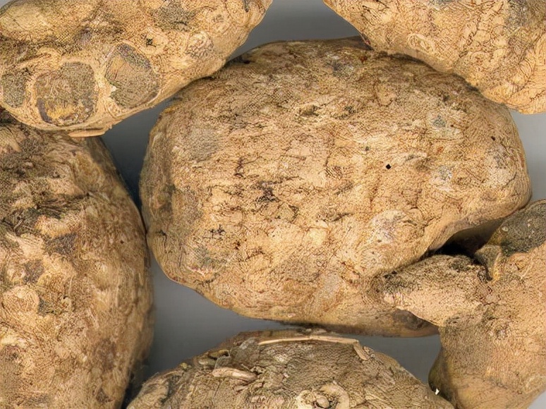 三棱莪术具有的功效是什么,三棱莪术对女性有什么影响