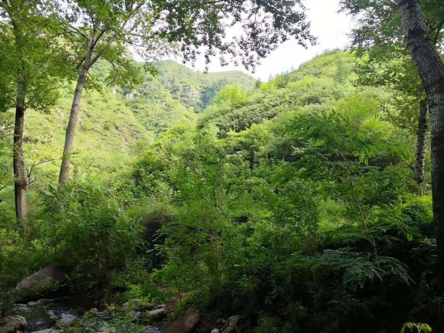 什么是财商的定义,什么是财商之法