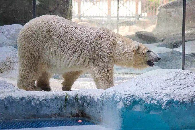 玩转珠海酒店,玩转珠海长隆全攻略