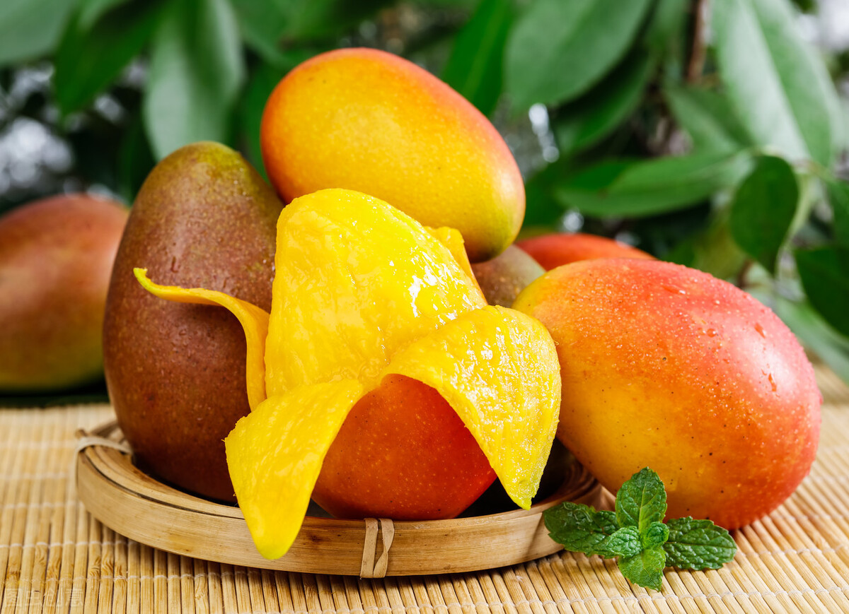 贵妃芒芒果怎么催熟最快方法,贵妃芒芒果熟啦