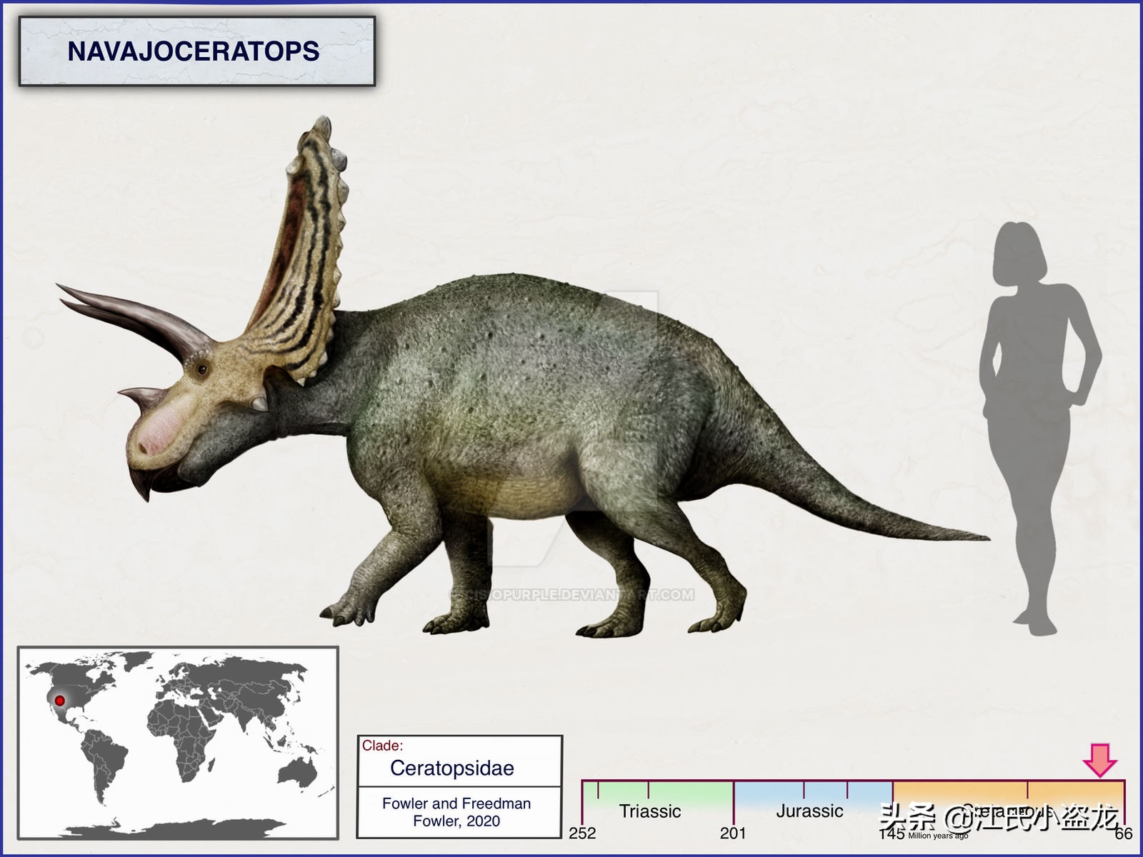 古生物学家发现恐龙新物种,古生物专家介绍侏罗纪